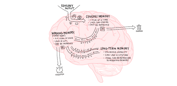 Data Viz Crash Course: How to Hack Your Brain's Built-In Graphics Processor