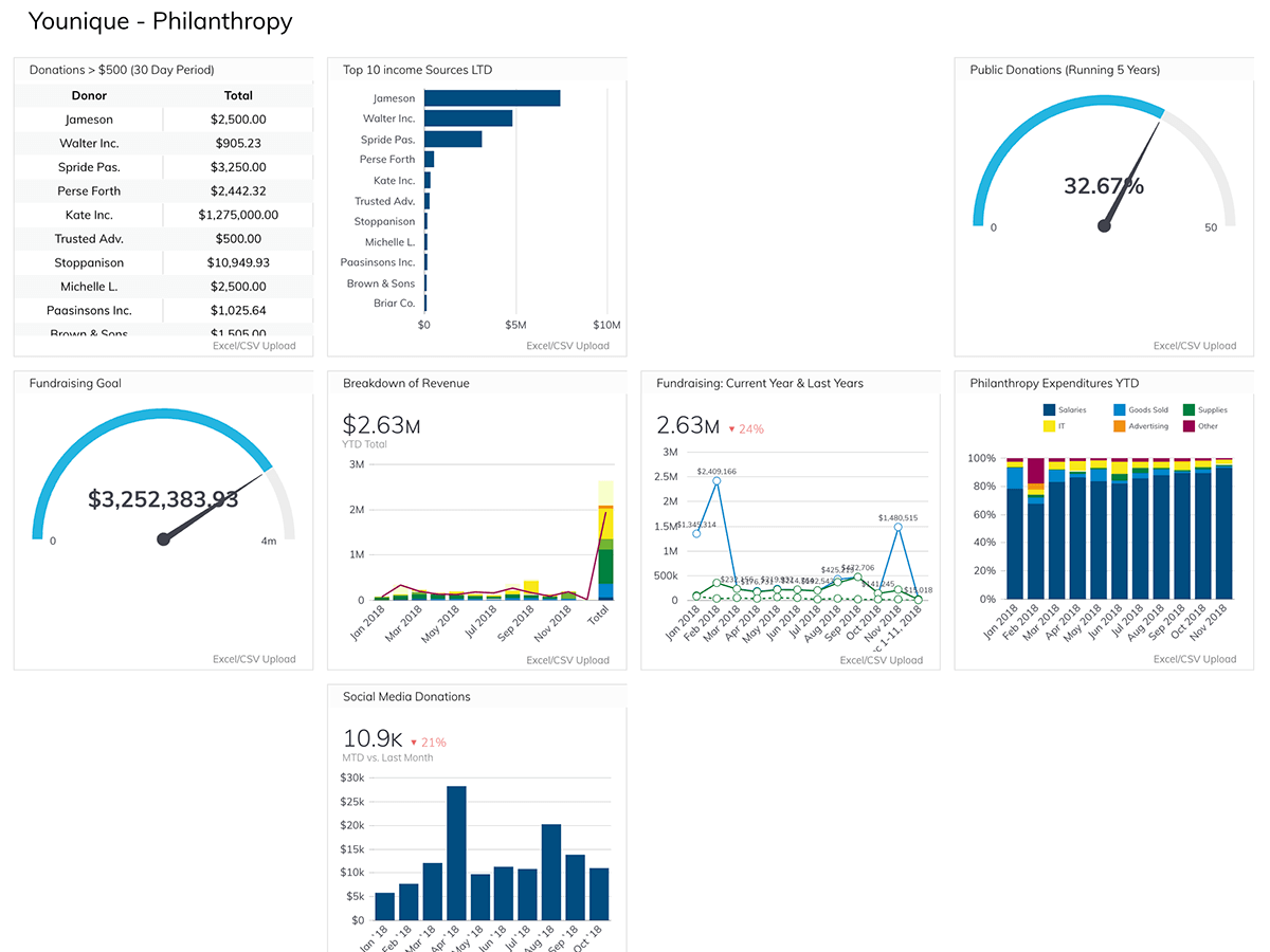 Philanthropy Efforts Dashboard