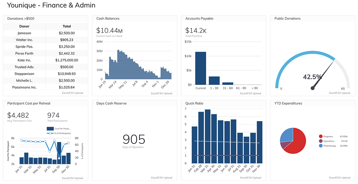 Financial Health Dashboard