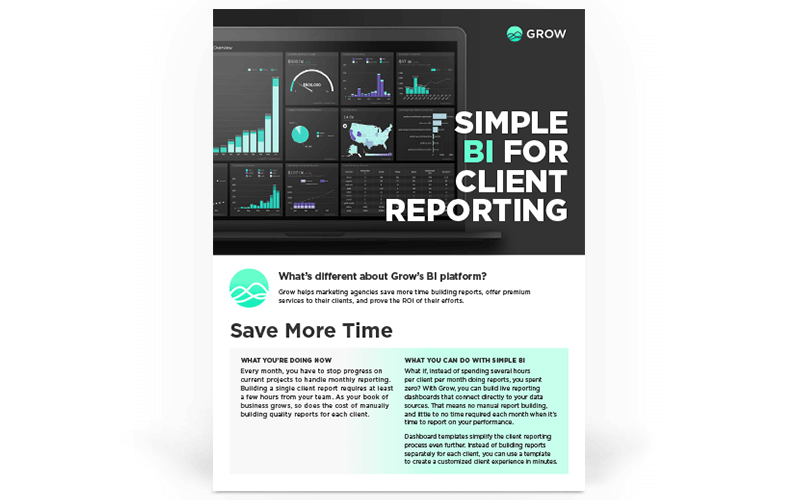 Simple BI for Client Reporting