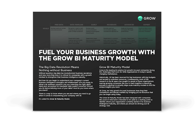 The Grow BI Maturity Model